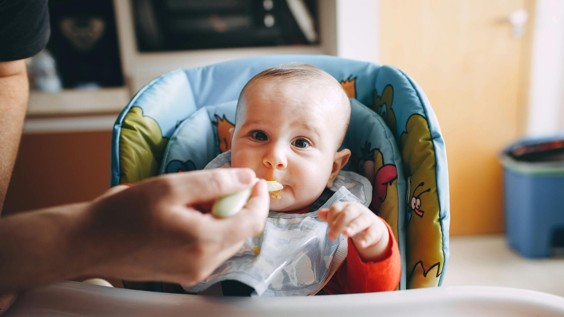 baby-airplane-meal-tips